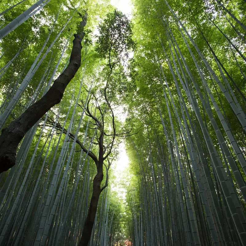 微网站建设网站