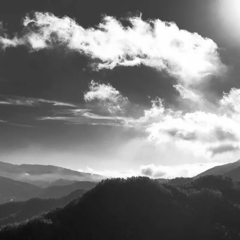 青岛SEO优化公司